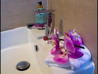 The Homestead Guest Houseケイルンライアン エクステリア 写真